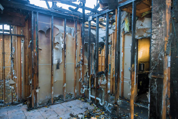 Professional Smoke Damage Removal technician working in Los Molinos, CA